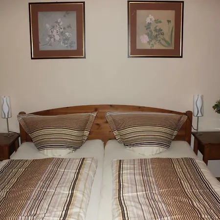 Goldbach 2. Stock Apartmán Řezno